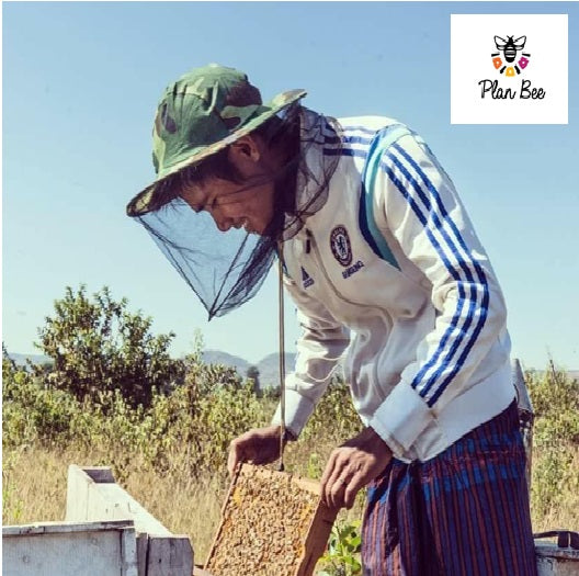 Raw Premium Organic Honey, Myanmar (350g)